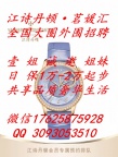 壹姐承诺-新手小白也可以进入外围大圈-日保1万起-奢华顶级圈层-商界精英客户-共享财富